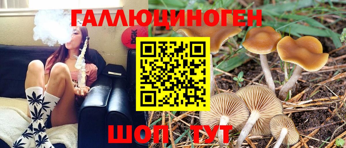Галлюциногенные грибы Cubensis  Галлюциногенные грибы MAGIC MUSHROOMS  Вход с VPN  Чехов 